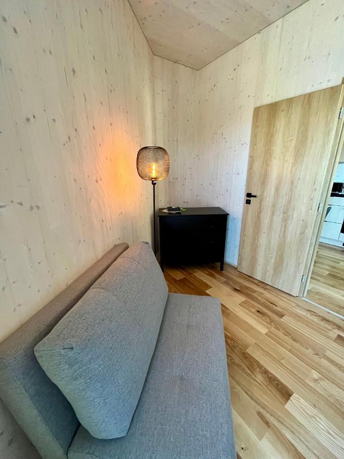 Cosy 1-Bedroom Apartment With Free Parking ديمانوفْشكا دولِنا المظهر الخارجي الصورة